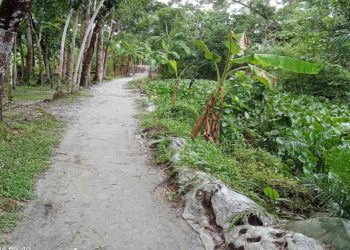 পটুয়াখালীতে ইউপি’র বরাদ্দের রাস্তায় বাধা দেয়ায় মামলার হুমকি!