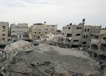 ৪৮ ঘণ্টায় আরও অর্ধশতাধিক ফিলিস্তিনি নিহত