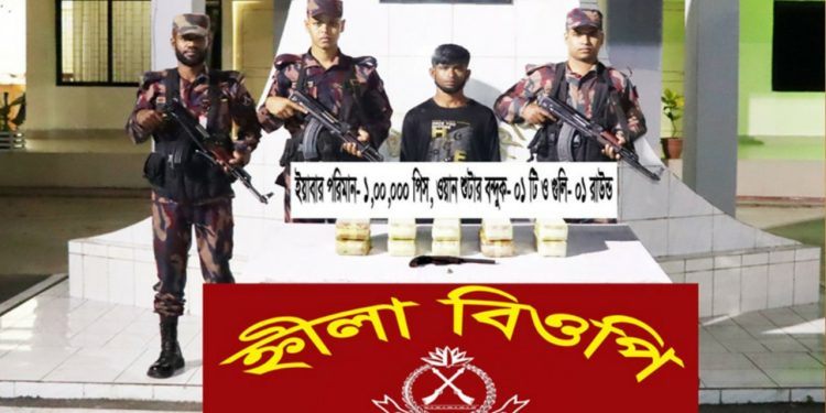 বিজিবির অভিযানে ইয়াবা ও অস্ত্রসহ মাদক পাচারকারী আটক