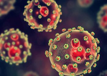 নাইজেরিয়ায় লাসা জ্বরে তিন মাসে প্রাণ হারাল ১১৮ জন