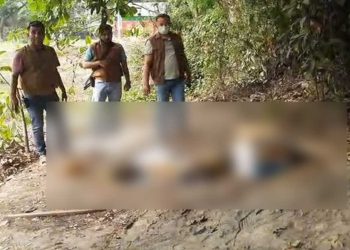 “তিন প্যাকেটের কার্টন — মাথা একটায়, উরু দুটায়”