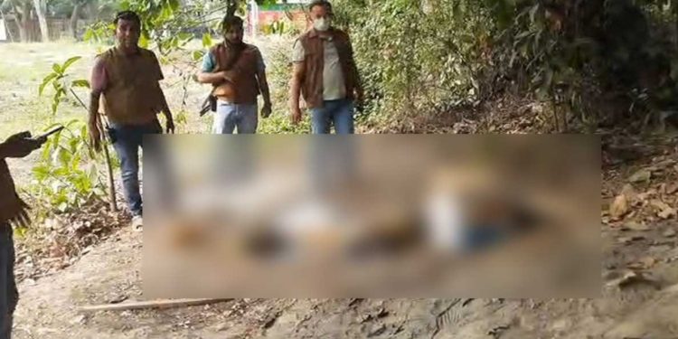 “তিন প্যাকেটের কার্টন — মাথা একটায়, উরু দুটায়”