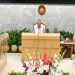 জুলাই অভ্যুত্থানে শহীদ পরিবার ও আহতদের কল্যাণে আইনের খসড়া চূড়ান্ত অনুমোদন