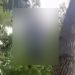 প্রেমের বিয়ে, স্ত্রী তালাক দেওয়ায় শরীয়তপুরে যুবকের আত্মহত্যা