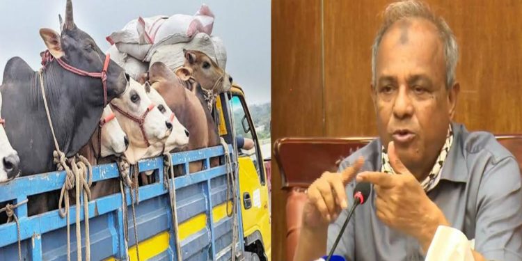 কোরবানির গরুর গাড়ি কোনো রাস্তায় নামাতে পারবে না: স্বরাষ্ট্র উপদেষ্টা