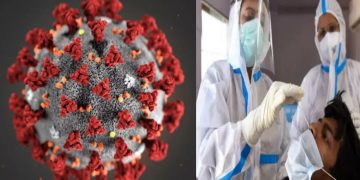 রাজশাহীতে চার চিকিৎসকসহ ১১ জন করোনা পজিটিভ