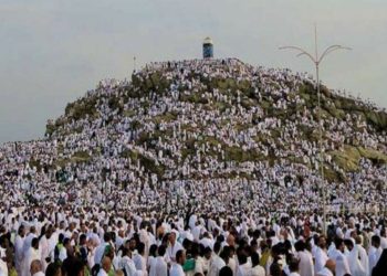 আরাফাতের ময়দানে দোয়া ও ইবাদতে সময় অতিবাহিত করছেন হাজিরা