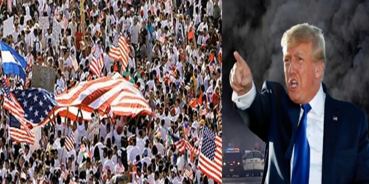 লস অ্যাঞ্জেলেসে অভিবাসীদের বিরুদ্ধে অভিযানকে কেন্দ্র করে বিক্ষোভ, দুই হাজার ন্যাশনাল গার্ড নামালেন ট্রাম্প