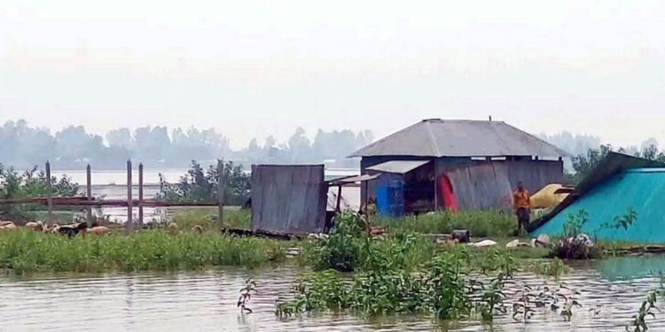 যমুনায় ভাঙন, যেন নিঃশব্দে সবকিছু গিলে খাচ্ছে