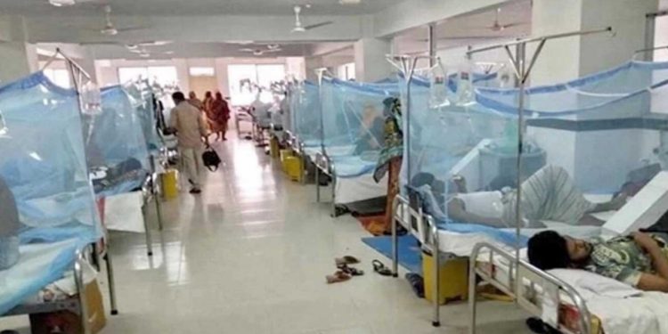 ডেঙ্গুতে দেশে আরও দুই জনের মৃত্যু, নতুন করে হাসপাতালে ৩২১ জন ভর্তি