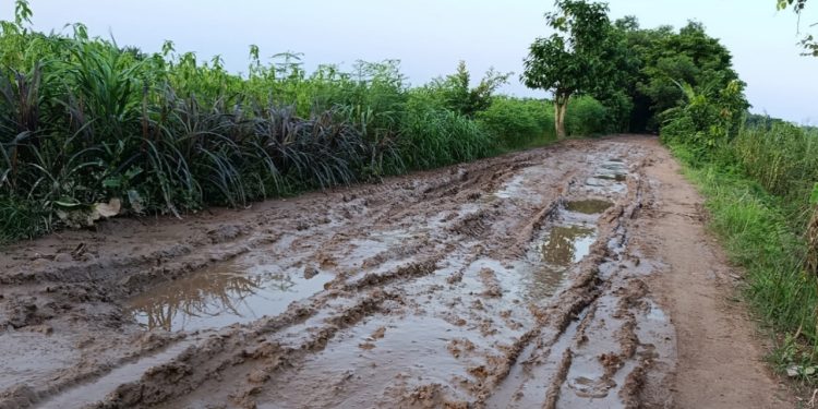 মাদারীপুরে ১০ হাজার মানুষের চলাচলের রাস্তা এখন মৃত্যু ঝুঁকির পথে