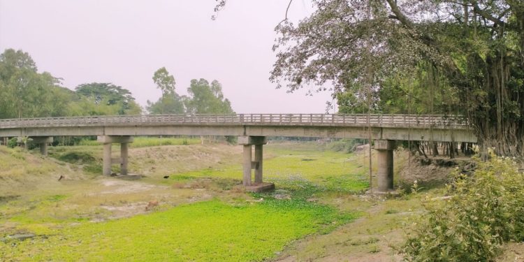 গাজীপুরে ব্রিজের নিচে অজ্ঞাত নারীর মরদেহ উদ্ধার