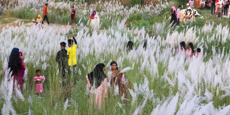 আজ থেকে শুরু হলো শরৎকাল