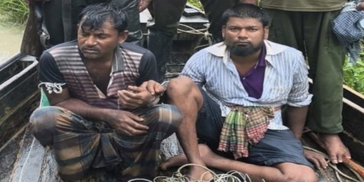 সুন্দরবনে ফাঁদসহ দুই হরিণ শিকারি গ্রেপ্তার
