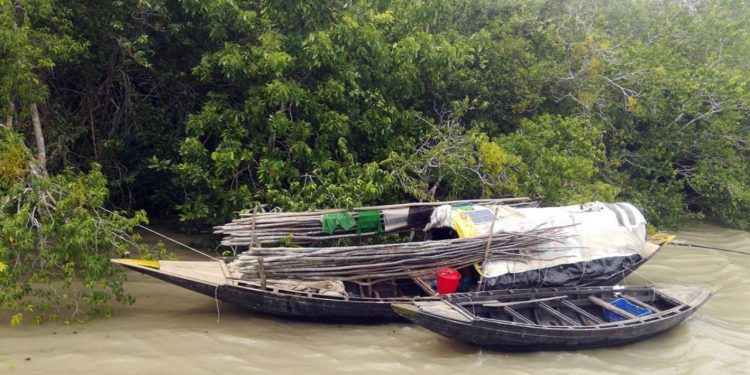 সুন্দরবনে পারমিটধারী হাজার জেলে, দস্যুর ভয়ে আতঙ্কিত তারা