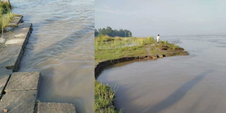 সিরাজগঞ্জে যমুনার পানি বৃদ্ধি, ভাঙছে সুরক্ষা বাঁধ