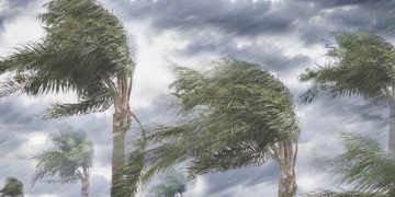 যেসব জেলায় দুপুরের মধ্যে ৬০ কিমি বেগে ঝড় ও বৃষ্টির পূর্বাভাস