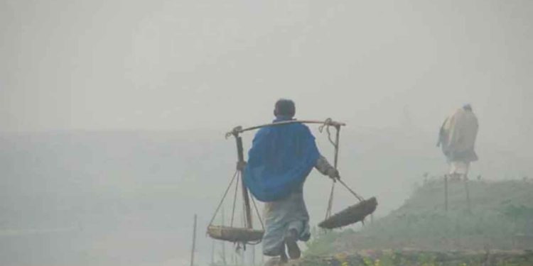 নভেম্বরে একাধিক শৈত্যপ্রবাহের সম্ভাবনা দেখা দিয়েছে