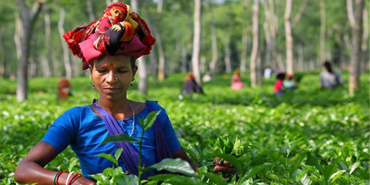 ১৩টি ক্ষেত্রে কর্মীদের বেতন বাড়ানোর সিদ্ধান্ত