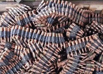 জার্মান সামরিক বাহিনীর বড় গুলির চালান নিখোঁজ, ব্যারাকে নেওয়ার পথে উধাও