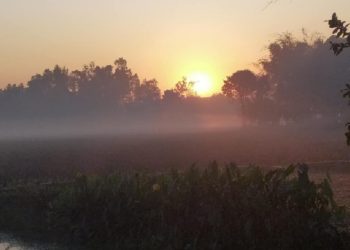 আগামী পাঁচ দিনের তাপমাত্রা নিয়ে পূর্বাভাস দিল আবহাওয়া অফিস