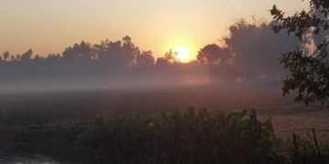 আগামী পাঁচ দিনের তাপমাত্রা নিয়ে পূর্বাভাস দিল আবহাওয়া অফিস