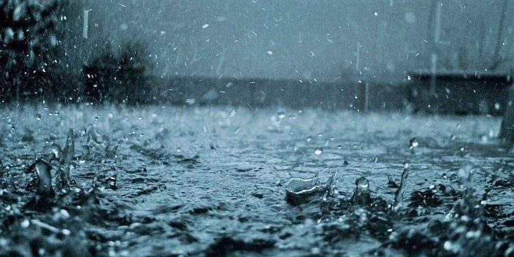 নতুন বার্তা বৃষ্টি নিয়ে আবহাওয়া অফিসের