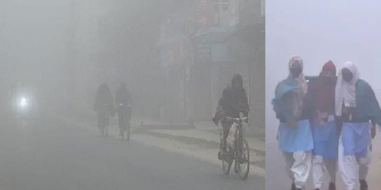 বইছে ৪৪ জেলায় শৈত্যপ্রবাহ, কতদিন থাকবে শীতের তীব্রতা জানালো আবহাওয়া অফিস