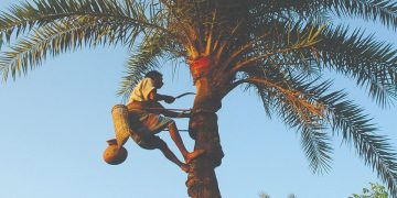 নিপাহ ভাইরাসের মরণকামড়, মৃত্যুহার পৌঁছেছে শতভাগ