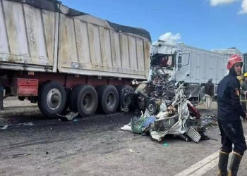 ট্রাক-পিকআপ ভয়াবহ সংঘষে মিশরে নিহত- ১৮