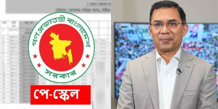 পে স্কেল বাস্তবায়ন কবে, যা আছে বিএনপির ইশতেহারে