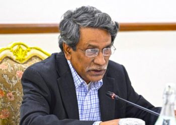 গণভোট বাস্তবায়নের দায়িত্ব রাজনৈতিক দলগুলোর: অধ্যাপক আলী রীয়াজ