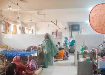 হামে আক্রান্ত হয়ে ১৫ জনের মৃত্যু