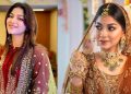 পরিচালকের বিরুদ্ধে অপেশাদার আচরণের অভিযোগ অভিনেত্রীর