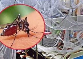 ডেঙ্গু জ্বরে আক্রান্ত হয়ে ৩ জনের মৃত্যু