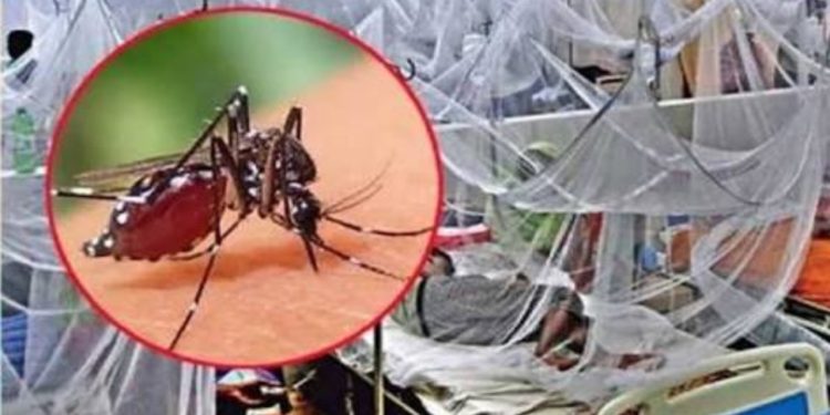 ডেঙ্গু জ্বরে আক্রান্ত হয়ে ৩ জনের মৃত্যু