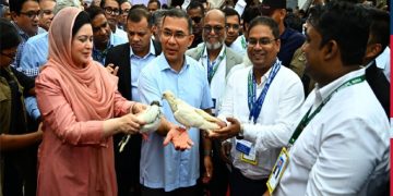 চিকিৎসক সমাবেশের উদ্বোধন করলেন প্রধানমন্ত্রী তারেক রহমান