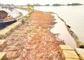 নেত্রকোনার ফসল রক্ষা বাঁধের ব্লক তোলে নিয়ে গেছে দুর্বৃত্তরা, দ্রুত ফেরত দেয়ার নির্দেশ প্রশাসনের