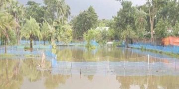 মাছের ঘের দখল নিয়ে বাগেরহাটে সংঘর্ষে আহত- ১৩