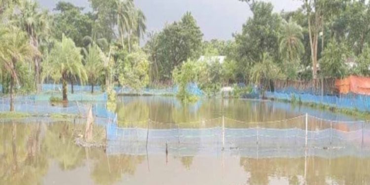 মাছের ঘের দখল নিয়ে বাগেরহাটে সংঘর্ষে আহত-  ১৩