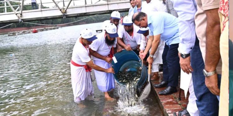বিএনপির ৪৮তম প্রতিষ্ঠাবার্ষিকী উপলক্ষে জিয়া উদ্যানের লেকে মাছের পোনা অবমুক্ত করলেন প্রধানমন্ত্রী তারেক রহমান