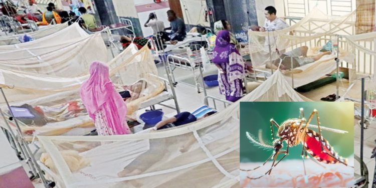 গত ২৪ ঘণ্টায় ডেঙ্গু আক্রান্ত হয়ে ৬ জনের মৃত্যু