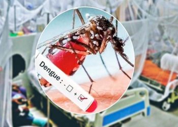 গত ২৪ ঘণ্টায় ডেঙ্গুতে ১০ জনের মৃত্যু
