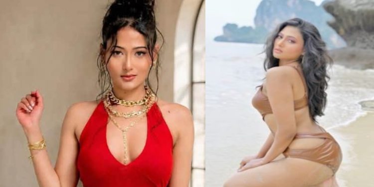 ‘ভায়োলেন্স’ থেকে সরে দাঁড়ালেন চিত্রনায়িকা অধরা খান