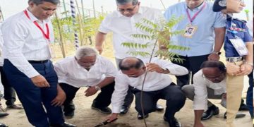 ঢাকা-আরিচা মহাসড়কে সবুজায়ন কর্মসূচির উদ্বোধন করলেন প্রধানমন্ত্রী তারেক রহমান