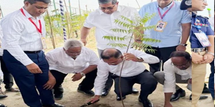 ঢাকা-আরিচা মহাসড়কে সবুজায়ন কর্মসূচির উদ্বোধন করলেন প্রধানমন্ত্রী তারেক রহমান