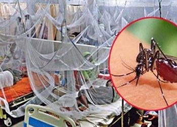 গত একদিনে ডেঙ্গুতে আক্রান্ত হয়ে ৫ জনের মৃত্যু, হাসপাতালে নতুন ভর্তি- ২,২১৮