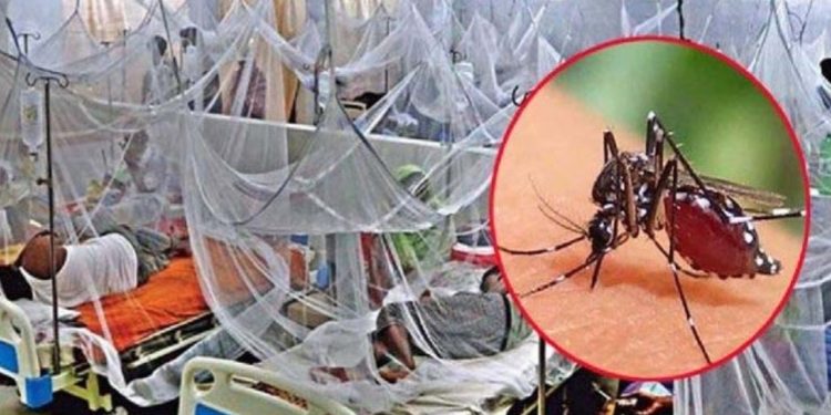 গত একদিনে ডেঙ্গুতে আক্রান্ত হয়ে ৫ জনের মৃত্যু, হাসপাতালে নতুন ভর্তি- ২,২১৮